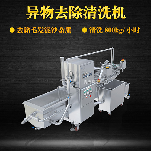 商用專業(yè)果蔬清洗機，氣泡清洗，清洗800kg小時