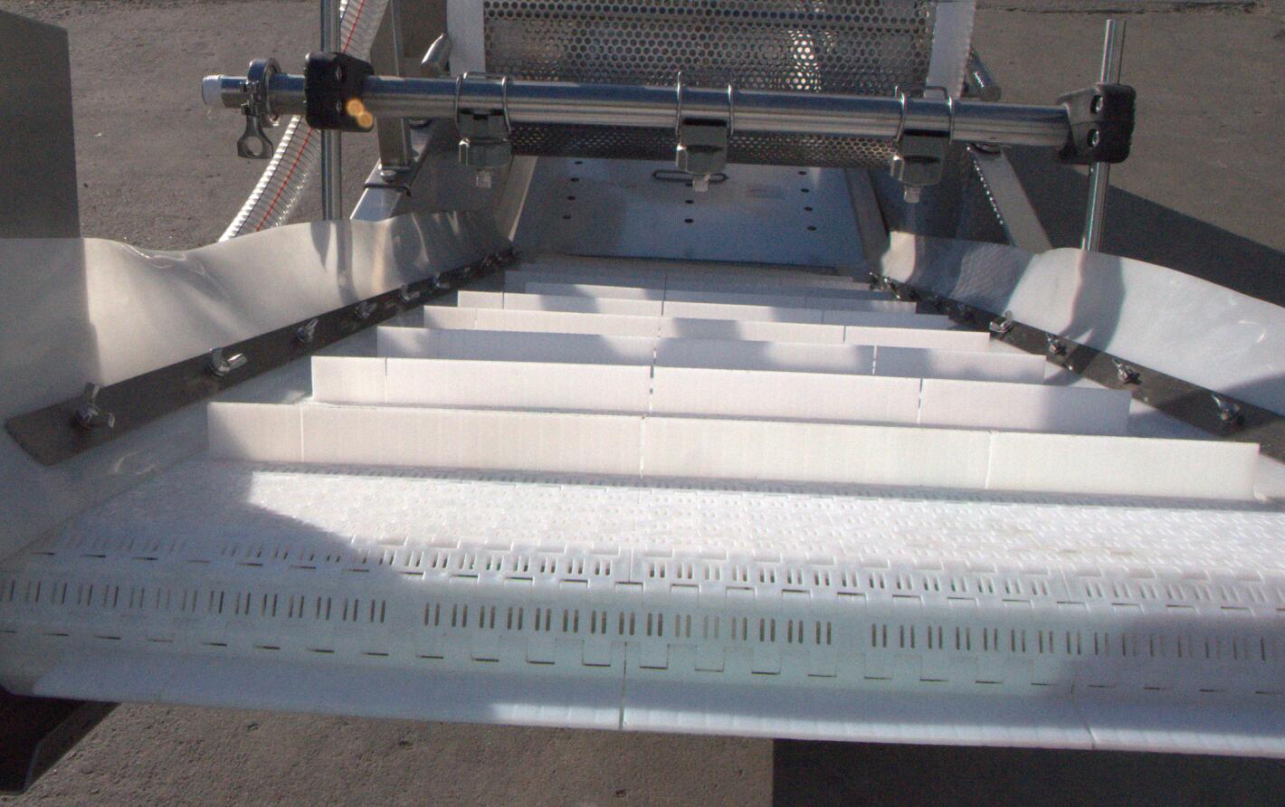 鴨腸的變身過程，讓你大跌眼驚